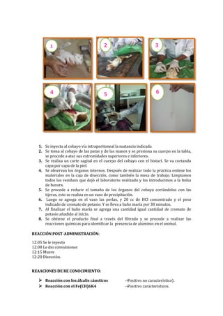 1

2

3

4

5
5

6

1. Se inyecta al cobayo vía intraperitoneal la sustancia indicada
2. Se toma al cobayo de las patas y de las manos y se presiona su cuerpo en la tabla,
se procede a atar sus extremidades superiores e inferiores.
3. Se realiza un corte sagital en el cuerpo del cobayo con el bisturí. Se va cortando
capa por capa de la piel.
4. Se observan los órganos internos. Después de realizar todo la práctica ordene los
materiales en la caja de disección, como también la mesa de trabajo. Limpiamos
todos los residuos que dejó el laboratorio realizado y los introducimos a la bolsa
de basura.
5. Se procede a reducir el tamaño de los órganos del cobayo cortándolos con las
tijeras, esto se realiza en un vaso de precipitación.
6. Luego se agrega en el vaso las perlas, y 20 cc de HCl concentrado y el peso
indicado de cromato de potasio. Y se lleva a baño maría por 30 minutos.
7. Al finalizar el baño maría se agrega una cantidad igual cantidad de cromato de
potasio añadido al inicio.
8. Se obtiene el producto final a través del filtrado y se procede a realizar las
reacciones químicas para identificar la presencia de aluminio en el animal.
REACCIÓN POST-ADMINISTRACIÓN:
12:05 Se le inyecto
12:08 Le dio convulsiones
12:15 Muere
12:20 Disección.
REAACIONES DE RE CONOCIMIENTO:

 Reacción con los álcalis cáusticos
 Reacción con el Fe(CH)6K4

→
Positivo no característico).
→
Positivo caracteristicos.

 