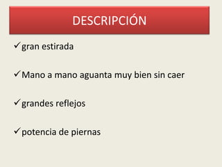 DESCRIPCIÓN
gran estirada
Mano a mano aguanta muy bien sin caer
grandes reflejos

potencia de piernas

 