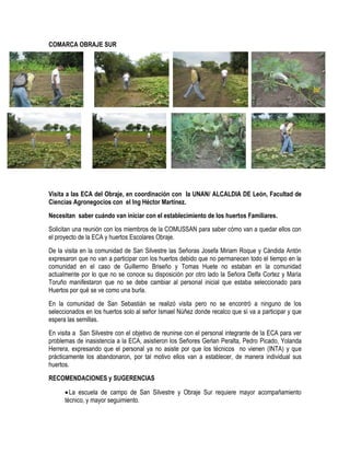 COMARCA OBRAJE SUR




Visita a las ECA del Obraje, en coordinación con la UNAN/ ALCALDIA DE León, Facultad de
Ciencias Agronegocios con el Ing Héctor Martínez.
Necesitan saber cuándo van iniciar con el establecimiento de los huertos Familiares.
Solicitan una reunión con los miembros de la COMUSSAN para saber cómo van a quedar ellos con
el proyecto de la ECA y huertos Escolares Obraje.
De la visita en la comunidad de San Silvestre las Señoras Josefa Miriam Roque y Cándida Antón
expresaron que no van a participar con los huertos debido que no permanecen todo el tiempo en la
comunidad en el caso de Guillermo Briseño y Tomas Huete no estaban en la comunidad
actualmente por lo que no se conoce su disposición por otro lado la Señora Delfa Cortez y María
Toruño manifestaron que no se debe cambiar al personal inicial que estaba seleccionado para
Huertos por qué se ve como una burla.
En la comunidad de San Sebastián se realizó visita pero no se encontró a ninguno de los
seleccionados en los huertos solo al señor Ismael Núñez donde recalco que sí va a participar y que
espera las semillas.
En visita a San Silvestre con el objetivo de reunirse con el personal integrante de la ECA para ver
problemas de inasistencia a la ECA, asistieron los Señores Gerlan Peralta, Pedro Picado, Yolanda
Herrera, expresando que el personal ya no asiste por que los técnicos no vienen (INTA) y que
prácticamente los abandonaron, por tal motivo ellos van a establecer, de manera individual sus
huertos.
RECOMENDACIONES y SUGERENCIAS

       La escuela de campo de San Silvestre y Obraje Sur requiere mayor acompañamiento
      técnico, y mayor seguimiento.
 