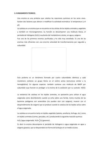 Informe terminado