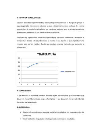 Informe terminado