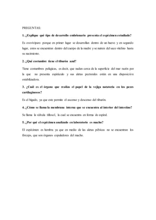 PREGUNTAS:
1. ¿Explique qué tipo de desarrollo embrionario presenta el espécimen estudiado?
Es ovovivíparo porque en primer lugar se desarrollan dentro de un huevo y en segundo
lugar, estos se encuentran dentro del cuerpo de la madre y se nutren del saco vitelino hasta
su nacimiento.
2. ¿Qué costumbre tiene el tiburón azul?
Tiene costumbres pelágicas, es decir, que nadan cerca de la superficie del mar razón por
la que no presenta espiráculo y sus aletas pectorales están en una disposición
estabilizadora.
3. ¿Cuál es el órgano que realiza el papel de la vejiga natatoria en los peces
cartilaginosos?
Es el hígado, ya que este permite el ascenso y descenso del tiburón.
4. ¿Cómo se llama la membrana interna que se encuentra al interior del intestino?
Se llama la válvula tiflosol, la cual se encuentra en forma de espiral.
5. ¿Por qué el espécimen analizado en laboratorio es macho?
El espécimen es hembra ya que en medio de las aletas pélvicas no se encuentran los
fórceps, que son órganos copuladores del macho.
 