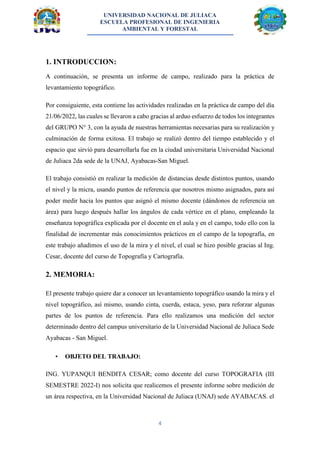 Modelo de informe topográfico | PDF