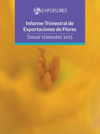 Informe Trimestral de
Exportaciones de Flores
Tercer trimestre 2015
 
