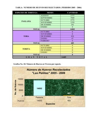 TABLA: NUMERO DE HUEVOS RECOLECTADOS ( PERIODO 2005 – 2006)

    ESPECIES DE TORTUGA                      MESES                 CANTIDAD
                                        AGOSTO                         1777
                                        SEPTIEMBRE                     7949
                                        OCTUBRE                        2775
                    PASLAMA
                                        NOVIEMBRE                      1259
                                        DICIEMBRE                       242
                                        ENERO                             0
                                TOTAL                                 14002
                                        OCTUBRE                           0
                                        NOVIEMBRE                         0
                         TORA           DICIEMBRE                       436
                                        ENERO                            47
                                        FEBRERO                           0
                                TOTAL                                   483
                                        OCTUBRE                           0
                                        NOVIEMBRE                         0
                     TORITA
                                        DICIEMBRE                         0
                                        ENERO                             0
                                TOTAL                                     0
                          G R A N T O T A L                14485


Grafica No. 10: Número de Huevos en Viveros por especie.


                           Número de Huevos Recolectados
                              "Las Peñitas" 2005 - 2006

                 15000
 No. de Huevos




                 10000
                                  14002
                  5000
                                                                   483
                     0
                                 Paslama                           Tora
                 Huevos           14002                            483
                                            Especies
 