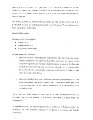 Informe Vicepresidencia Cono Sur