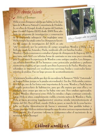 Informe xix hiila y cheempo