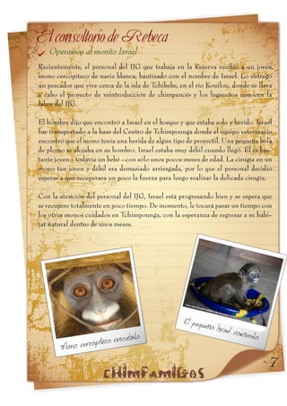 Informe xix hiila y cheempo