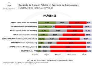 Encuesta de Opinión Pública en Provincia de Buenos Aires | PDF