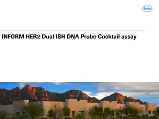INFORM HER2 Dual ISH DNA Probe Cocktail assay




                      Image Here


                                                1
 