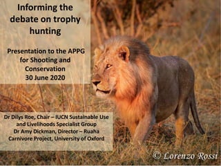 Informing the
debate on trophy
hunting
Presentation to the APPG
for Shooting and
Conservation
30 June 2020
Dr Dilys Roe, Chair – IUCN Sustainable Use
and Livelihoods Specialist Group
Dr Amy Dickman, Director – Ruaha
Carnivore Project, University of Oxford
 