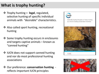 What is trophy hunting?
 Trophy hunting = legal, regulated,
selective hunting of specific individual
animals with “desira...
