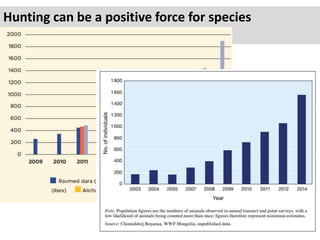 Hunting can be a positive force for species
conservation
 