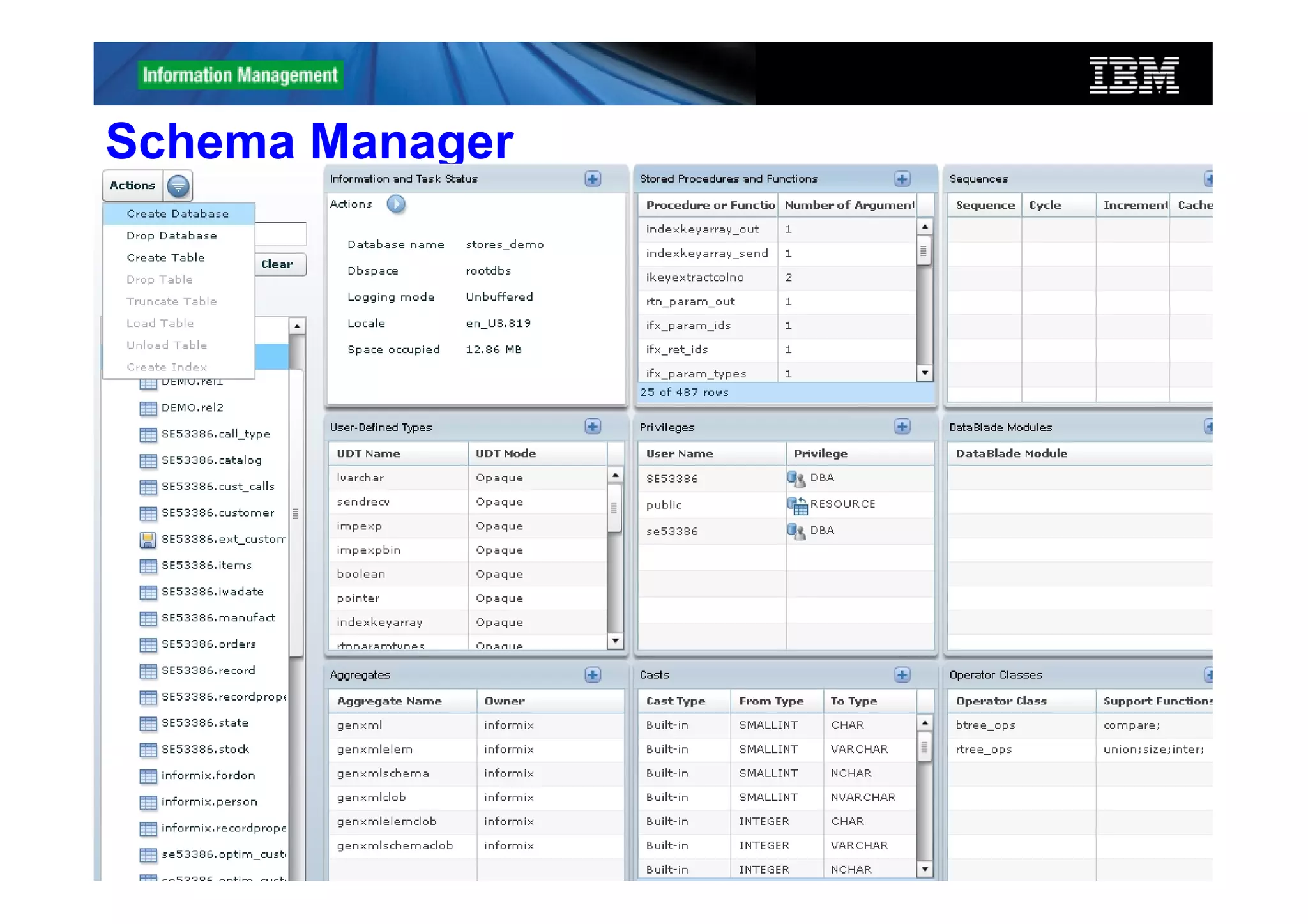 Schema Manager




 31              © 2012 IBM Corporation
 