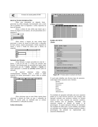 Formato de moeda padrão EURO


DIGITAÇÃO DE INFORMAÇÕES
         Para uma informação ser digitada basta
posicionar na célula desejada, movimentando com a tecla       Colunas selecionadas
Tab na planilha atual ou digitando a célula especifica na
barra de fórmulas.
         Caso a coluna de uma célula seja menor que o
número de dígitos de um numero, ela será preenchida com o
caractere #.




                                                             BARRA DE MENU
         Para alterar a largura de uma coluna basta          Dados
posicionar o cursor do mouse na borda entre o cabeçalho
de duas colunas, manter pressionando o botão esquerdo do
mouse e mover a borda da coluna para a direita ou
esquerda.




Iniciando uma fórmula:
          Uma fórmula é sempre precedida do sinal de =.
Porém o sinal de (=) não é o único que precede uma
fórmula. Uma fórmula pode ser precedida por quatro sinais
fundamentais que são: + (mais); -(menos) e = (igual); em
certas aplicações o comando @ (arroba) também pode ser
utilizado.
          É    possível   selecionar   várias    células
simultaneamente, bastando clicar e manter o botão
esquerdo do mouse pressionado e mover sobre as células            Figura 28 – O menu dados é exclusivo do Excel.
adjacentes.
                                                              O excel pode trabalhar com diversos tipos de caracteres
                                                              sendo alguns deles caracteres com o formato:
                                                                       Moeda;
                                                                       Porcentagem;
                                                                       Numérico;
                                                                       Data;
                                                                       Hora;
                                                                       Contábil;
                                                                       Alfanumérico;

                                                              Os resultados de operações realizadas com esses caracteres
         Para selecionar uma ou mais linhas inteiras basta   podem ser os mais diversos possíveis, por exemplo, uma
selecionar o número da linha, ou seja, o cabeçalho da         operação realizada com caracteres somente no formato
linha. O mesmo pode ser realizado para as colunas             numérico terá como resposta um caractere numérico,
selecionando-se o cabeçalho da coluna.                        assim acontece com as operações realizadas com
                                                              caracteres somente no formato de moeda e de
Linhas selecionadas                                           porcentagem. As quatro operações básicas da matemática
                                                              são exemplos do modo como o excel trabalha e que podem
                                                              ser realizadas com os dados no formato numérico, moeda e
                                                              porcentagem, não podendo ser implementada para
                                                              caracteres alfanuméricos.
 
