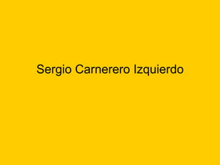 Sergio Carnerero Izquierdo 