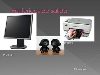 Impresora




Pantalla




                       Altavoces
 