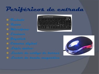 Periféricos de entrada
 Teclado
 Ratón
 Micrófono
 Escáner
 Joystick
 Cámara digital
 Lápiz óptico
 Lector de código de barras
 Lector de banda magnética
 