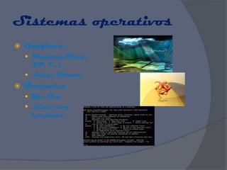 Sistemas operativos
   Gráficos:
     Windows(Vista,
      XP, 7…)
     Linux Ubuntu
   Textuales
     Ms-Dos
     Linux con
     terminal
 