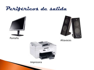 Pantalla
                       Altavoces




           Impresora
 