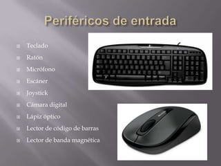  Teclado
 Ratón
 Micrófono
 Escáner
 Joystick
 Cámara digital
 Lápiz óptico
 Lector de código de barras
 Lector de banda magnética
 