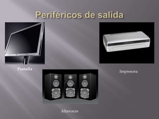 Pantalla
Impresora
Altavoces
 