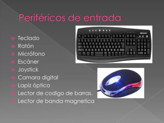  Teclado
 Ratón
 Micrófono
 Escáner
 Joystick
 Camara digital
 Lapiz óptico
 Lector de codigo de barras.
 Lector de banda magnetica
 