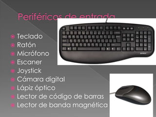  Teclado
 Ratón
 Micrófono
 Escaner
 Joystick
 Cámara digital
 Lápiz óptico
 Lector de código de barras
 Lector de banda magnética
 