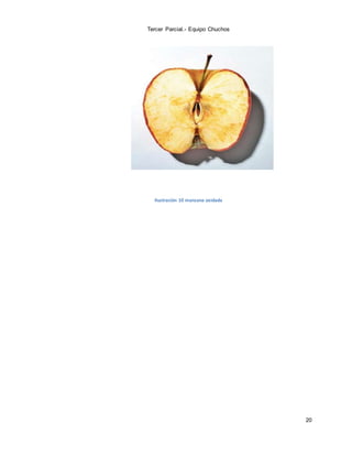Tercer Parcial.- Equipo Chuchos
20
Ilustración 10 manzana oxidada
 