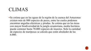 Se estima que en las aguas de la región de la cuenca del Amazonas
existen más de 800 especies de peces, entre las cuales podemos
encontrar anguilas eléctricas y pirañas. Se estima que en las áreas
con mayor biodiversidad de la jungla ecuatoriana, media hectárea
puede contener hasta 70.000 especies de insectos. Solo la cantidad
de especies de mariposas se calcula que estén alrededor de las
6.000.
 