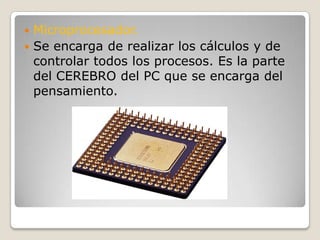 Microprocesador.Se encarga de realizar los cálculos y de controlar todos los procesos. Es la parte del CEREBRO del PC que se encarga del pensamiento.