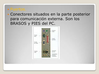 Puertos.Conectores situados en la parte posterior para comunicación externa. Son los BRASOS y PIES del PC.