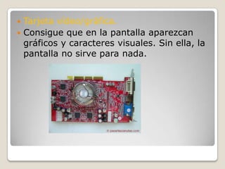 Tarjeta vídeo/gráfica.Consigue que en la pantalla aparezcan gráficos y caracteres visuales. Sin ella, la pantalla no sirve para nada.