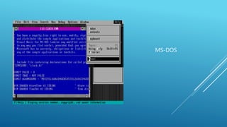 MS-DOS 
 