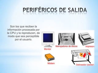 Son los que reciben la
información procesada por
la CPU y la reproducen, de
 modo que sea perceptible
      por el usuario.
 