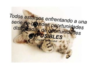 Todos estamos enfrentando a unaserie de grandes oportunidadesdisfrazadas de oportunidadesIMPOSIBLESCharles R Swindoll
 