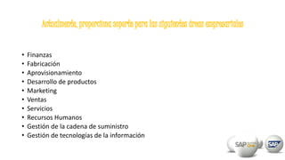 • Finanzas
• Fabricación
• Aprovisionamiento
• Desarrollo de productos
• Marketing
• Ventas
• Servicios
• Recursos Humanos
• Gestión de la cadena de suministro
• Gestión de tecnologías de la información
 
