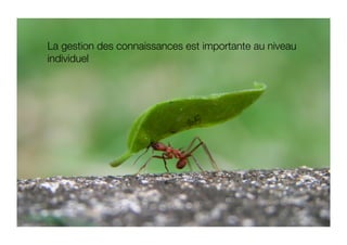 La gestion des connaissances est importante au niveau
individuel 
 