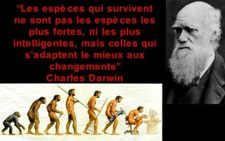 “Les espè ces qui survivent
ne sont pas les espè ces les
    plus fortes, ni les plus
intelligentes, mais celles qui
   s’adaptent le mieux aux
        changements”
        Charles Darwin
 