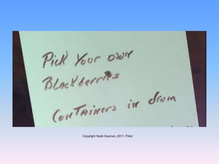 Copyright Noah Susman, 2011, Flickr
 