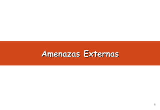 Amenazas Externas 
