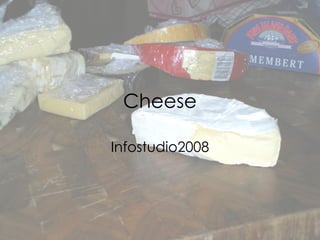 Cheese Infostudio2008 