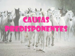 CAUSAS
PREDISPONENTES
 