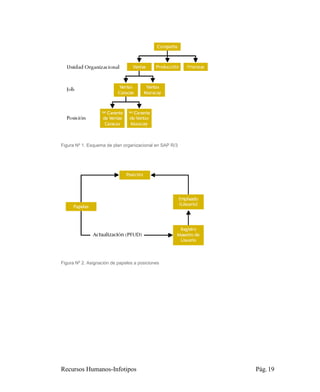 Figura Nº 1. Esquema de plan organizacional en SAP R/3




Figura Nº 2. Asignación de papeles a posiciones




Recursos Humanos-Infotipos                               Pág. 19
 