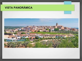 VISTA PANORÀMICA
 