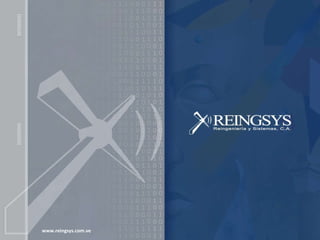 www.reingsys.com.ve  