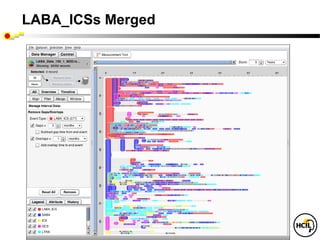 LABA_ICSs Merged
 