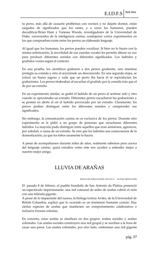 E.I.D.F.S 3ero 3era
pág. 37
tu perro, más allá de causarte problemas con vecinos y no dejarte dormir, están
cargados de significados que los canes, y a veces los humanos, pueden
decodificar.Brian Hare y Vanessa Woods, investigadores de la Universidad de
Duke, convencidos de la inteligencia canina, condujeron varios experimentos en
los que comprueban existe entre los perros un elaborado lenguaje.
Al igual que los humanos, los perros pueden vocalizar. Si bien no lo hacen con la
misma sofisticación, la movilidad de sus cuerdas vocales les permite alterar su voz
para producir diferentes sonidos con diferentes significados. Los ladridos y
gruñidos varían según el contexto.
En una prueba, los científicos grabaron a dos perros gruñendo, uno mientras
protegía su comida y otro al acercársele un desconocido. En una segunda etapa, se
colocó un hueso jugoso y cada que un perro iba hacia él se reproducían las
grabaciones. Los perros titubeaban al escuchar el gruñido por la comida más que el
de por un extraño.
En un experimento similar, se grabó el ladrido de un perro al sentirse solo y otro
cuando se aproximaba un extraño. Diferentes perros escucharon las grabaciones y
se ponían en alerta al oír el ladrido provocado por un extraño. Claramente, los
perros podían distinguir entre los diferentes sonidos y comprender sus
significados.
Sin embargo, la comunicación canina no es exclusiva de los perros. Durante otro
experimento se le pidió a un grupo de personas que escucharan diferentes
ladridos. La mayoría pudo distinguir entre aquellos que eran amistosos, agresivos,
por soledad, o causa de un extraño. Se cree que los ladridos son consecuencia de la
domesticación, ya que los lobos raramente lo hacen.
A pesar de acompañarnos durante miles de años, realmente sabemos poco acerca
del lenguaje canino, quizá estudios como éste nos ayuden a entender mejor a
nuestro mejor amigo.
LLUVIA DE ARAÑAS
FECHA DE PUBLICACIÓN: 2013-02-13 AUTOR: REDACCIÓN
El pasado 8 de febrero, el pueblo brasileño de San Antonio da Platina presenció
un espectáculo impresionante: una red comunal de miles de arañas cubrió el cielo
con una telaraña gigante.
A pesar de lo impactante del suceso, la bióloga Leticia Aviles, de la Universidad de
British Columbia, explicó que lo ocurrido es un fenómeno bastante común: Hay
ciertas especies de arañas que mantienen un comportamiento colaborativo e
inclusive forman colonias.
En concreto, estas arañas se clasifican en dos grupos: arañas sociales y arañas
coloniales. Las arañas sociales construyen una red grupal y se auxilian a la hora de
cazar una presa. Las arañas coloniales, por otro lado, conforman una red gigante
 