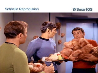 Schnelle Reprodukion

 