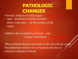 PATHOLOGIC
CHANGES
•Grossly, infarcts of solid organs -wedge-shaped
• apex -pointing towards occluded
artery wide base - on the surface of the
organ.
•Infarcts due to arterial occlusion -pale
venous obstruction - hemorrhagic.
•Most infarcts become pale later as the red cell are lysed
but pulmonary infarcts never become pale due to
extensive amount of blood.
 